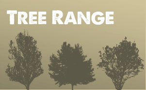 Listing of Olinda nurseries advanced tree range 